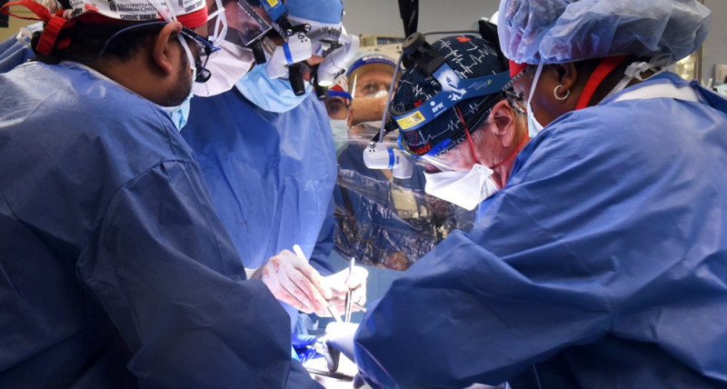 US surgeons successfully implant pig heart in human
