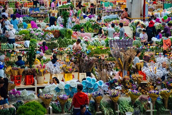 Asia’s largest flower market sees blooming business last year