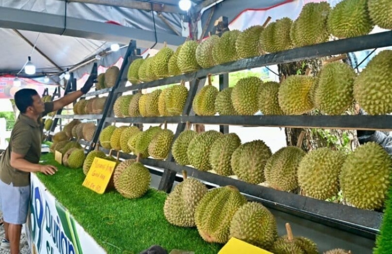 Penang to crack down on fake Balik Pulau durians with targeted raids