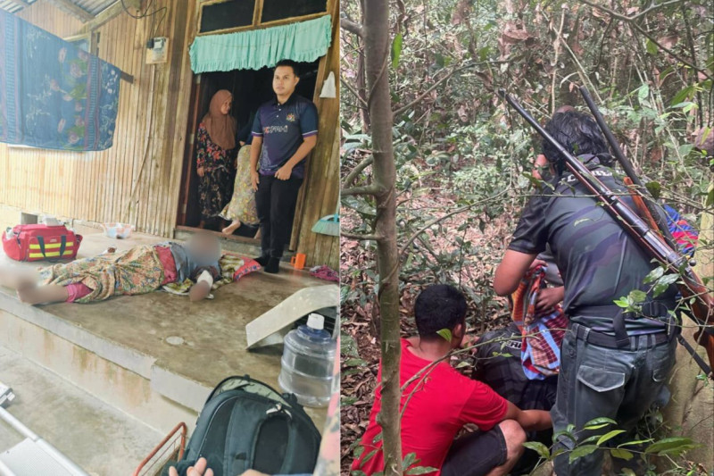 Elephant attack leaves Perhilitan officer, elderly woman with injuries
