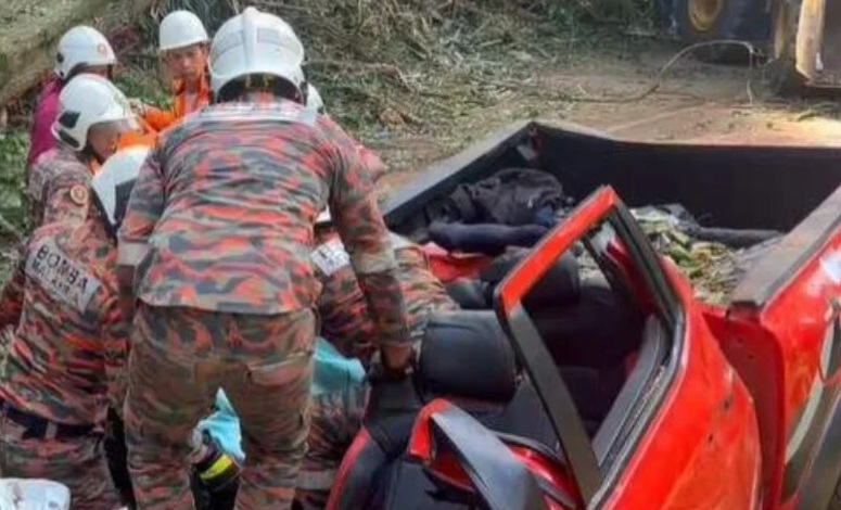 Four, including five-year-old boy killed after tree crashes on 4WD