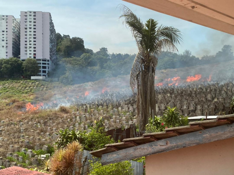 Arsonists set alight forested spaces, bushes in Penang