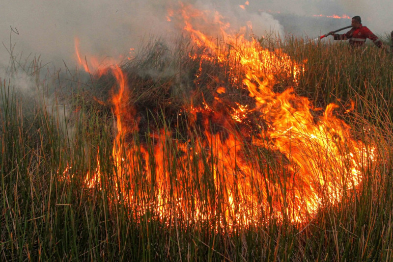Fires scorch 46 hectares across North and West Sumatra amidst dry season
