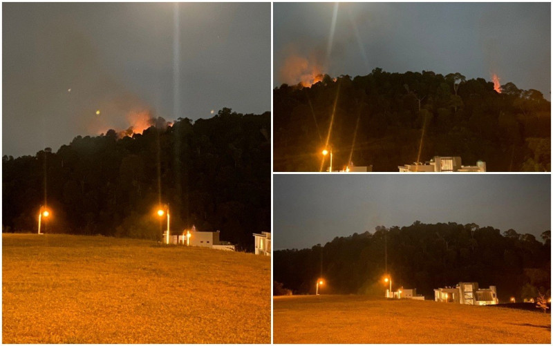 Forest fire breaks out near apartment block in Taman Tun Abdul Razak