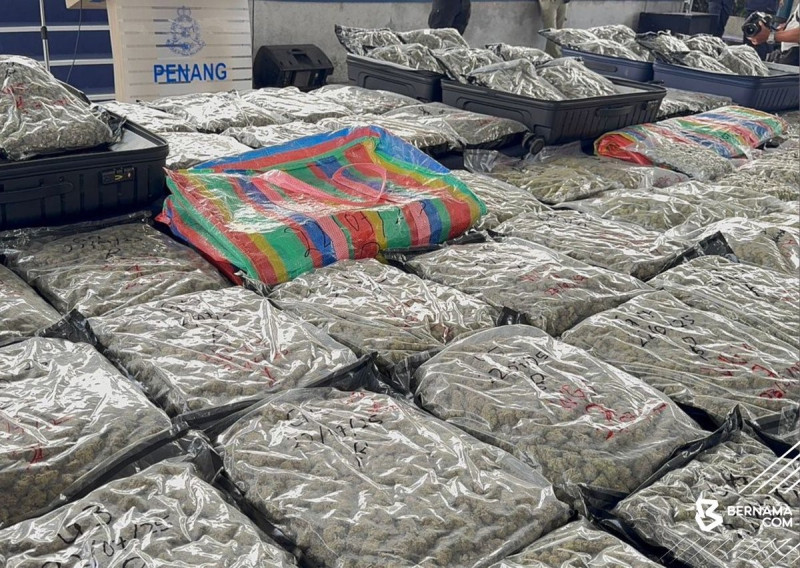 Four arrested in Penang drug raids, RM3.72 million worth of ganja seized