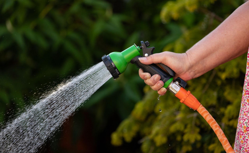 No watering lawns in times of water shortage 