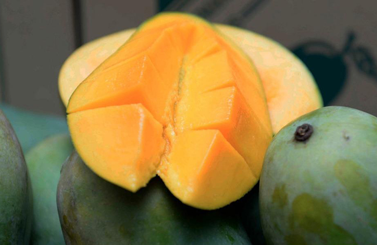 Fama eyes taking harumanis mangoes to Europe