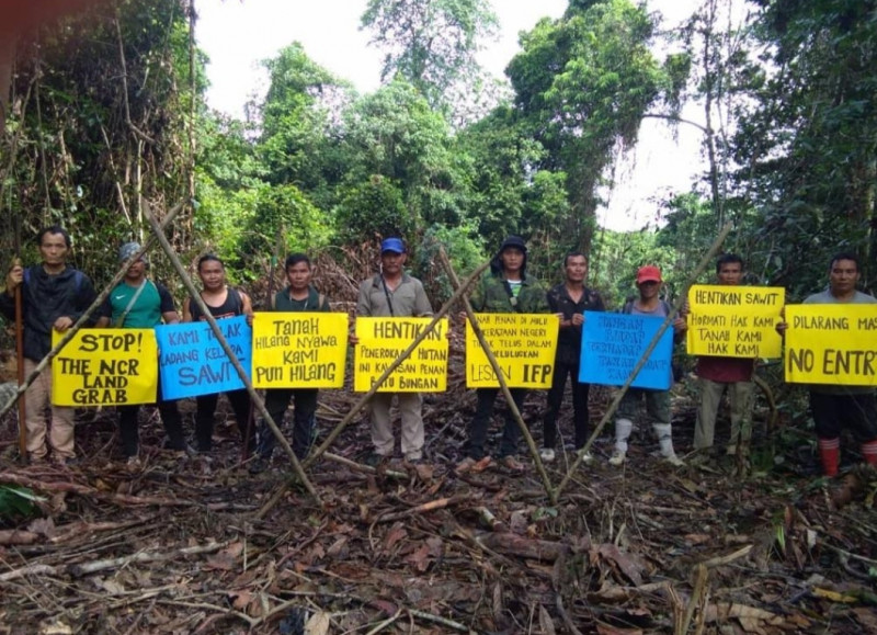 Plantation project near Mulu world heritage site aborted after native protests