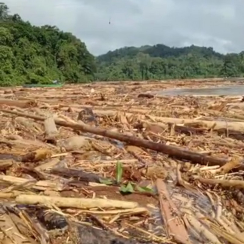  8 million kgs of timber debris removed, but Sarawak waterways still jammed