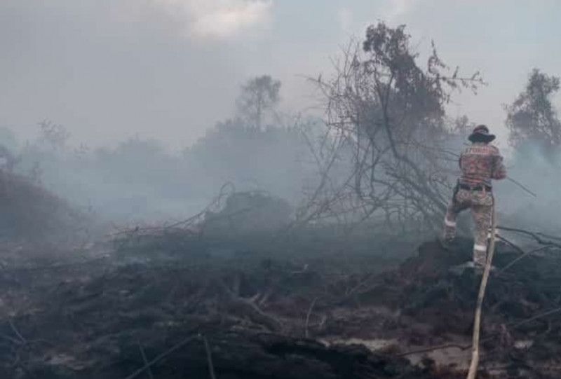 Water bombing carried out to douse massive Sarawak forest fires 
