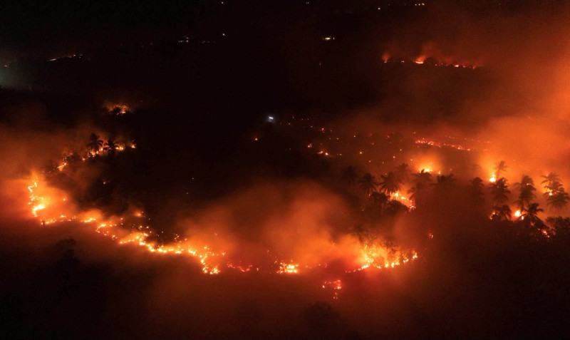 Indonesia’s forest fires already reach 10% of 2015 emissions as Sarawak haze worsens