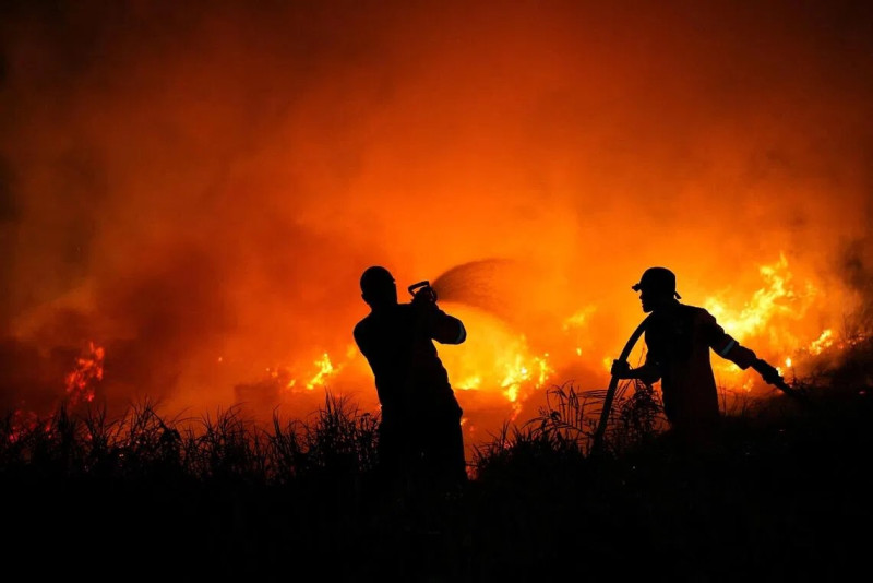 Indonesia battles worst wildfires in 11 years as haze hits neighbours
