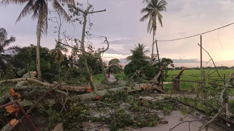 Storm batters Hilir Perak damaging 34 homes, trees felled