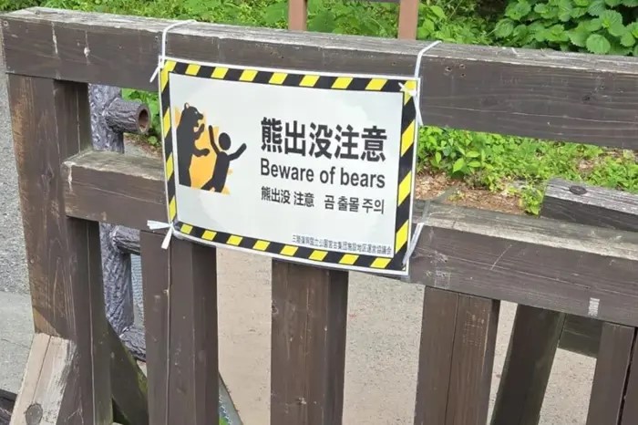 Foreign tourist injured in bear attack in Japan