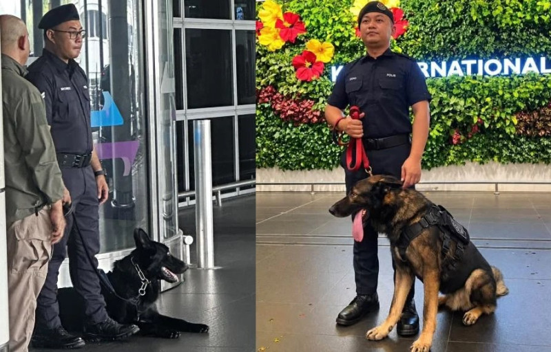 KLIA steps up K9 patrols at peak hours after security incidents