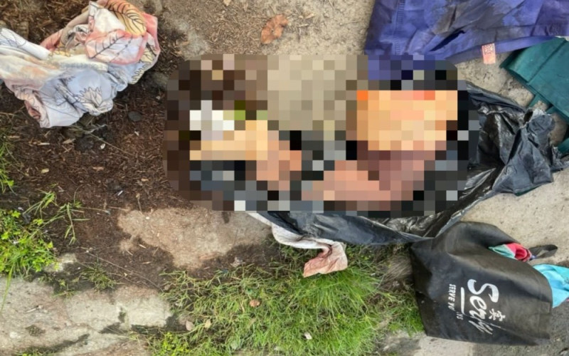 Septuagenarian confesses to grizzly dismemberment murder over broken engagement