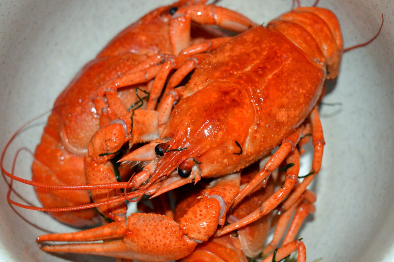 Negri Sembilan considers the lobster
