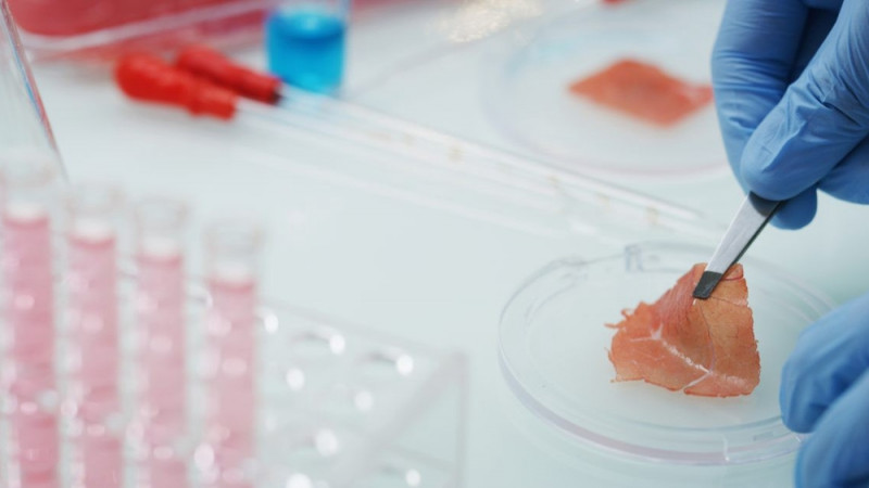California lab-grown meat start-up gets first green light