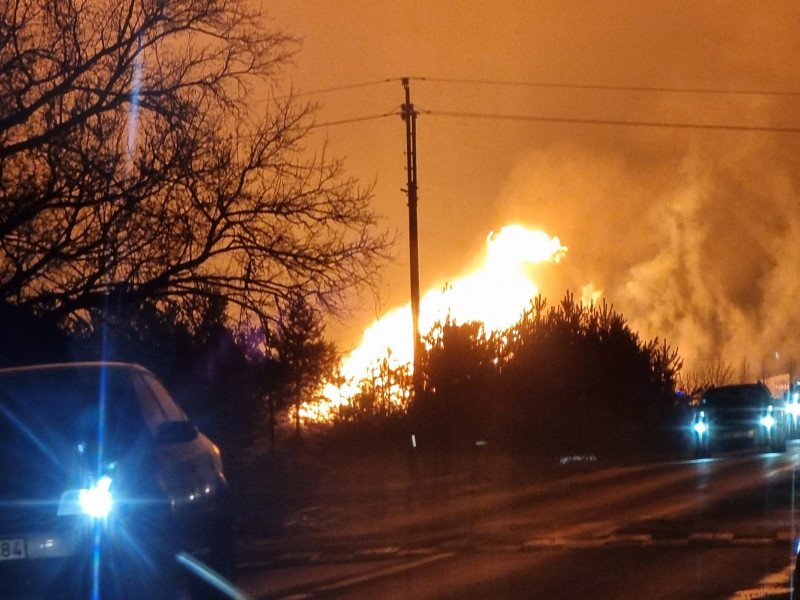 Blast rocks Lithuania gas pipeline: operator