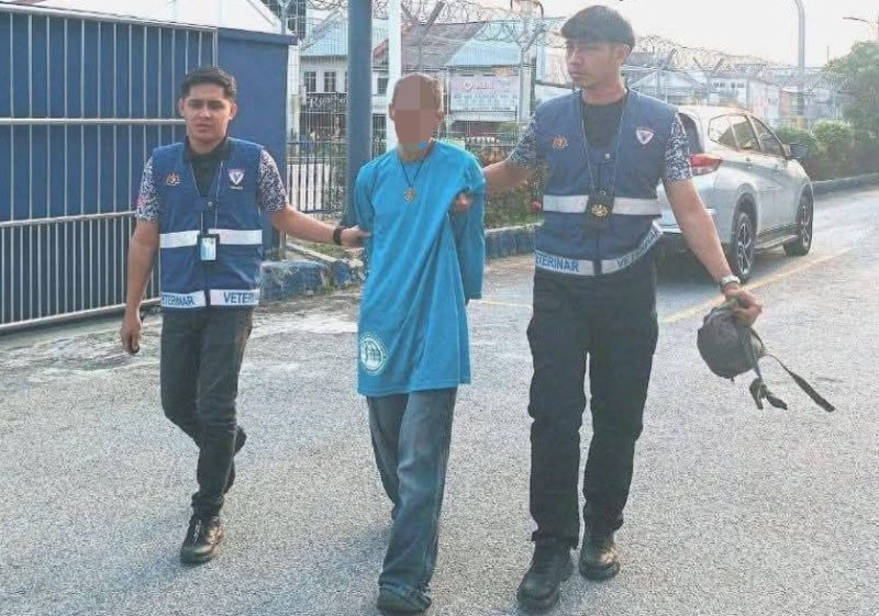 Man detained after disturbing video shows kitten abused at Kajang launderette