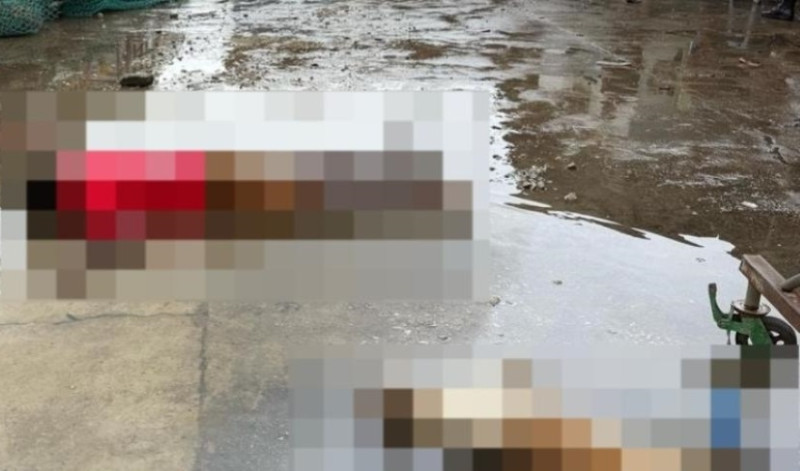 Man and dog electrocuted during flooding incident in Shah Alam