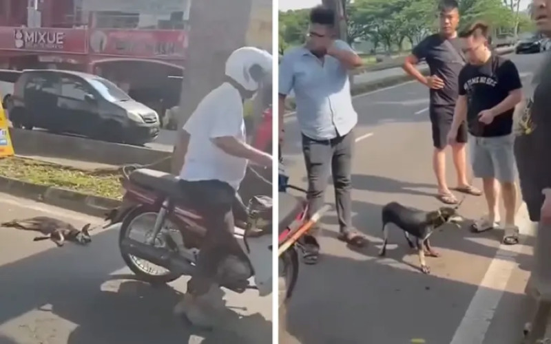 Elderly man arrested after dog dragged behind motorcycle in Sungai Petani