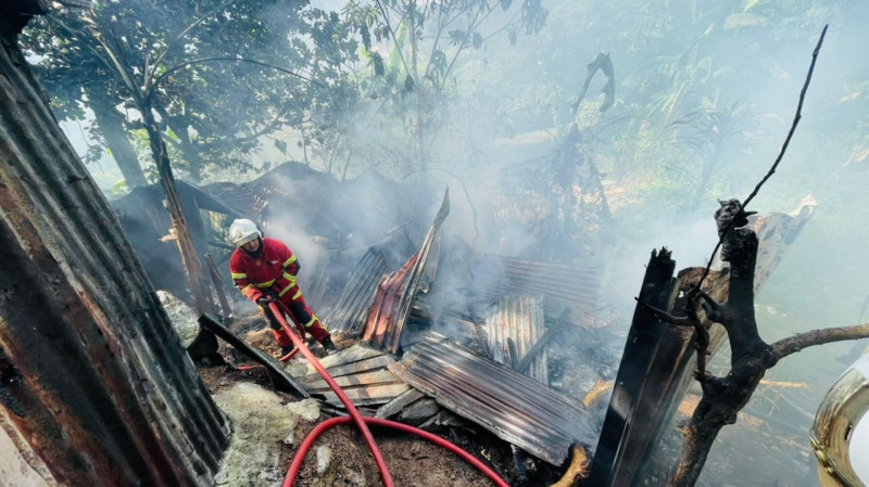 Public urged to act as watchdogs against those who start forest fires