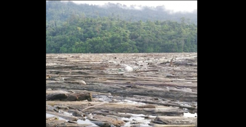 Investigate logjams choking central Sarawak rivers, rep tells authorities