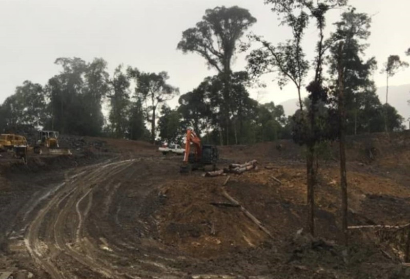 Northern Sarawak’s last virgin forests ravaged for logging, Penan natives continue to mount blockades