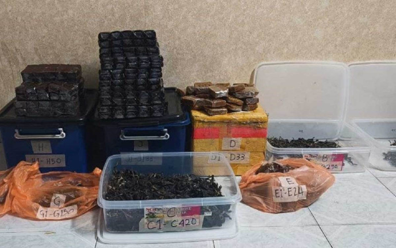 Authorities seize RM36.8 million worth of illegal wildlife products in Johor raid
