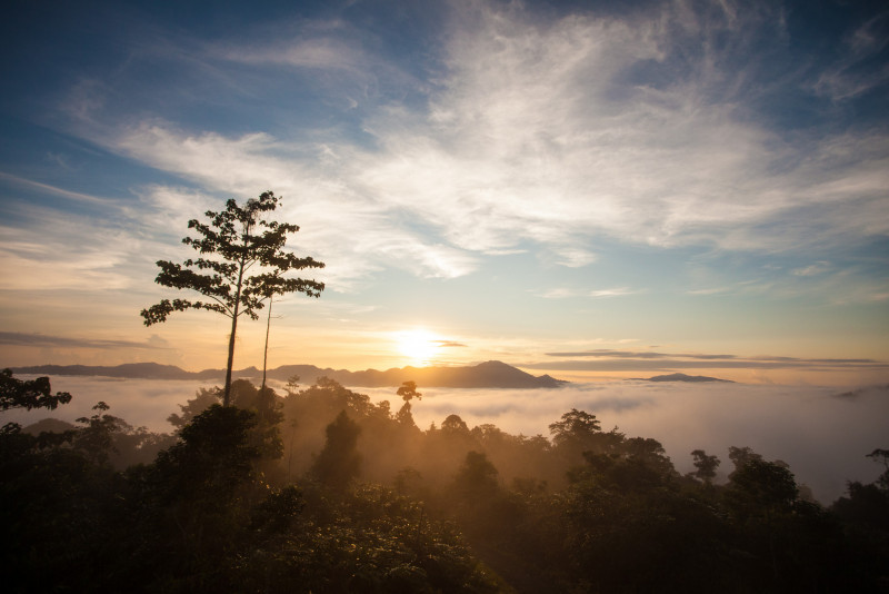 Overshoot Day a grim reminder of depleting natural resources – WWF-Malaysia