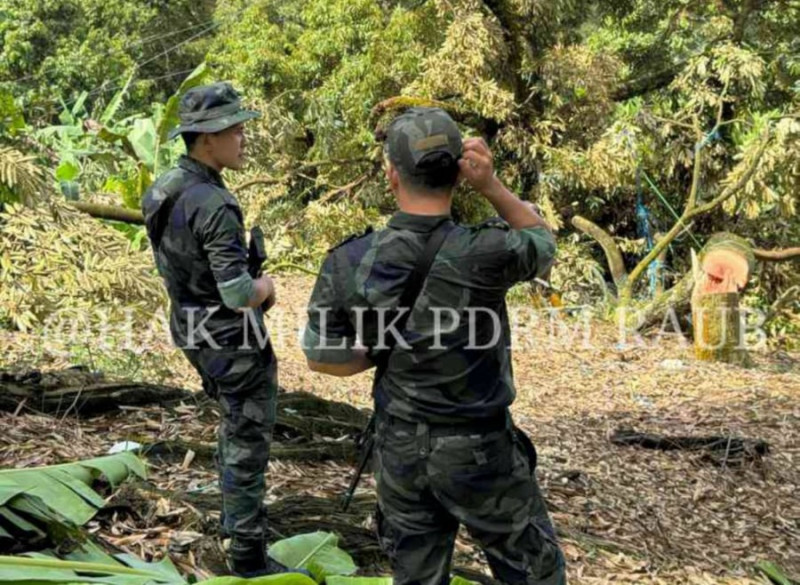 Police: Army not involved in enforcement ops at Raub durian farm