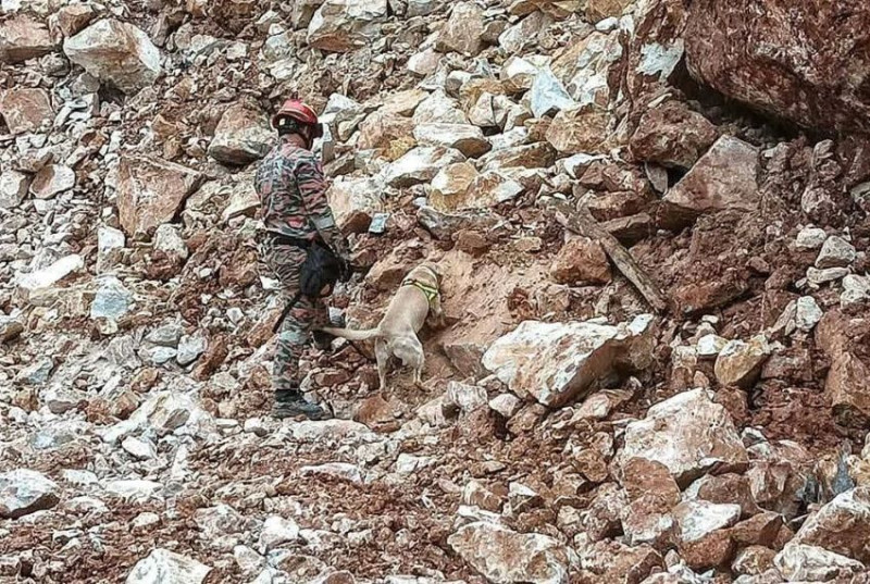 Sniffer dogs deployed in search for buried quarry worker in Pahang
