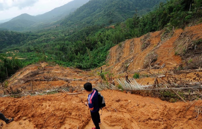 MACC seeks documents in Raub land encroachment probe