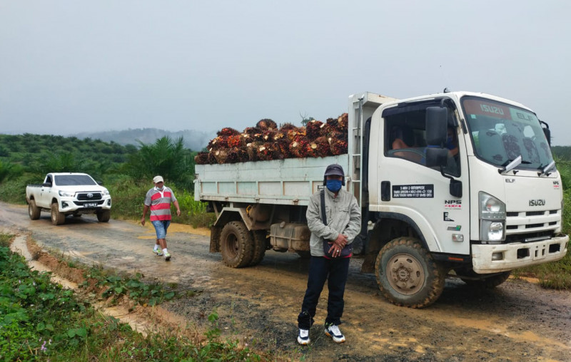 Indigenous smallholders allege Lahad Datu extortion group backed by plantation firm
