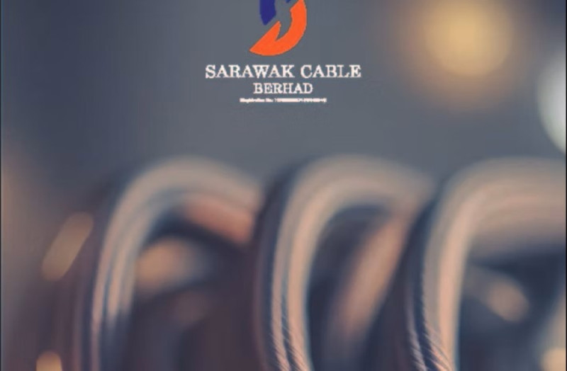 SCB faces legal storm as minority shareholder contends rampant board conspiracy