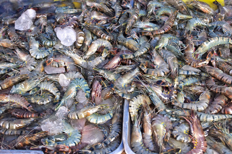 Thailand clamps down on virus outbreak at seafood market