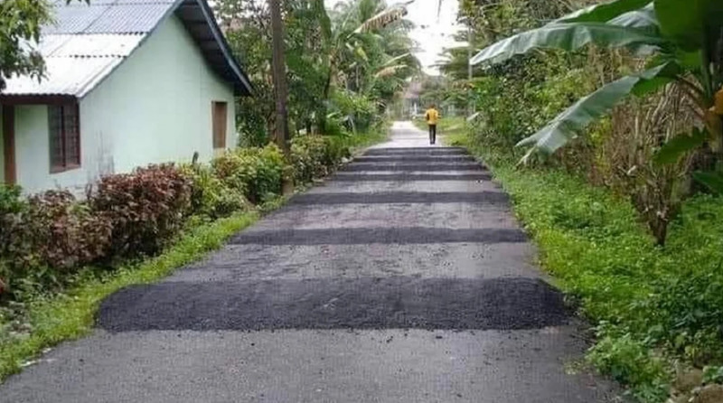 Besut man sorry for installing 11 speed bumps on road