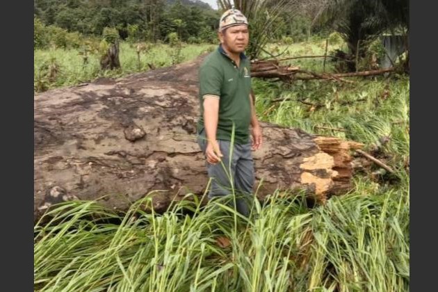 Remote Penan settlers need food aid after flood destroys crops, homes