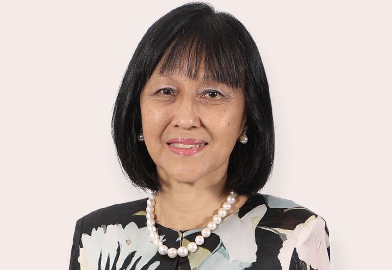 Zarinah Anwar appointed UM’s first woman board chairman 