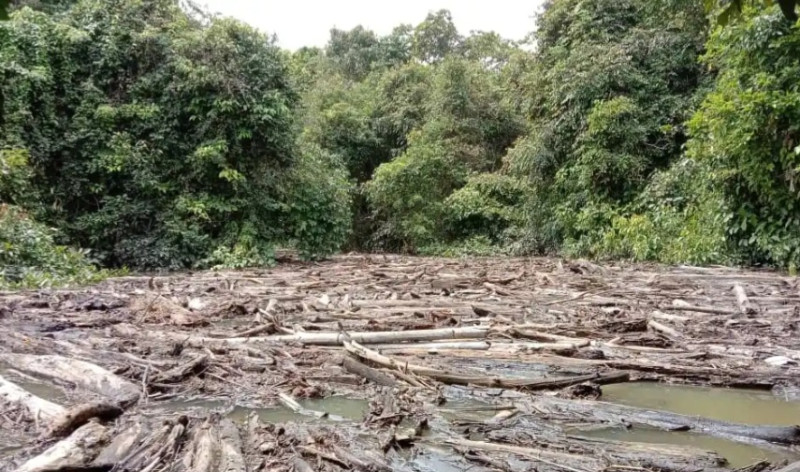 Timber, debris in rivers making Sarawak flood situation worse
