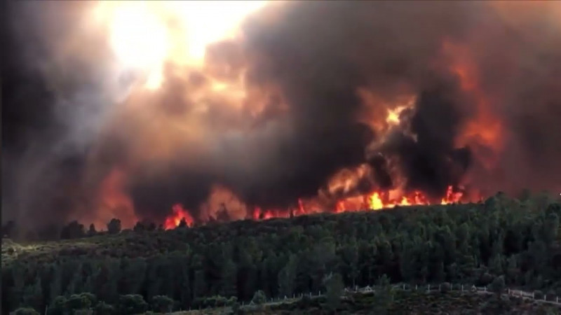 Fire destroys 16,000ha in Portugal’s largest protected area