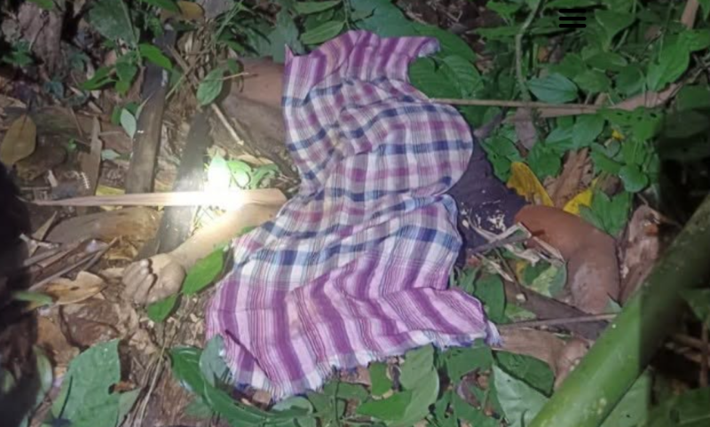 Tiger suspected of killing Orang Asli man in Sungai Siput