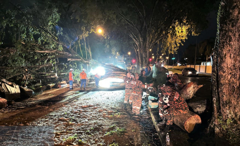 Thunderstorm wreaks havoc in Sibu, uprooting trees, tearing off roofs
