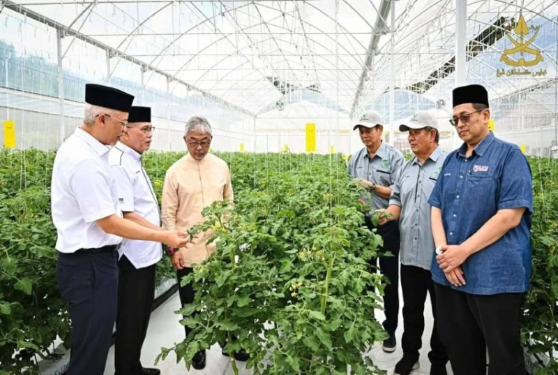 Pahang ruler urges ESG compliance in Cameron Highlands agriculture
