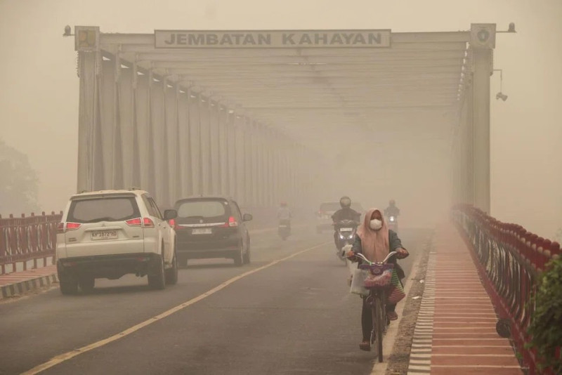 59,275 hotspots turn South Sumatra into haze hotspot as respiratory cases surge