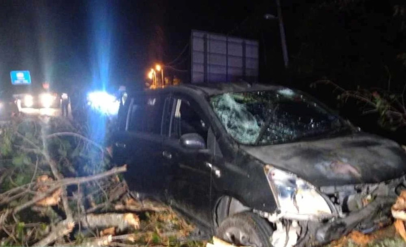 Tree crashes onto two cars in Tampin; six escape unharmed