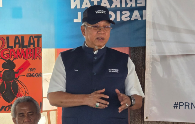 Bersatu's decision to use own logo signals voluntary split from PN in NS polls - Annuar Musa