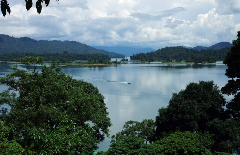 T’ganu Forestry Dept temporarily halts logging near Tasik Kenyir 