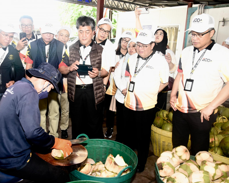 Thai farmer eyes Sarawak to plant aromatic coconuts for global market